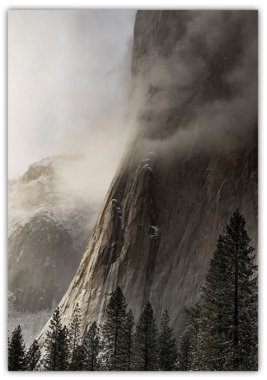 Poster Natur skog och berg