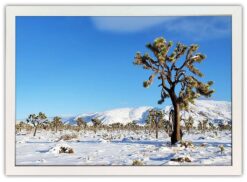 Poster Vinterlandskap - Bild 3