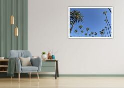 Alternative view of Poster Palmer mot blå himmel