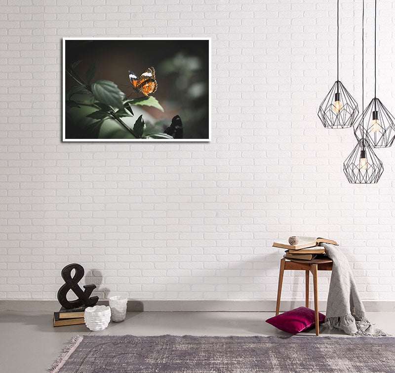 Poster Butterfly - Bild 2