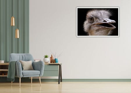 Strutsen Poster - Bild 2