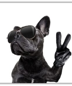 The DOG
