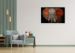 Elefant profil - Bild 2