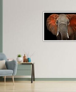 Alternative view of Elefant profil