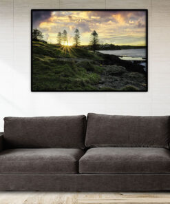 Alternative view of Solnedgång genom träden
