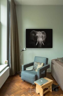Alternative view of Elefant med svart bakgrund