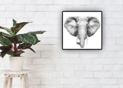 Elefant Svart & Vitt - Bild 2