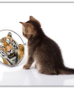 Tiger i Spegeln