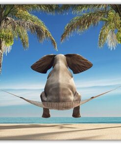 Elefant på hängmatta