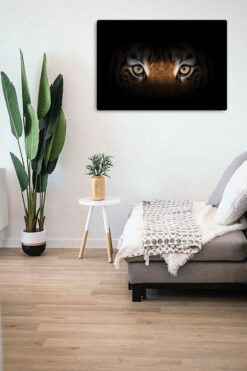 Alternative view of Eye of the tiger