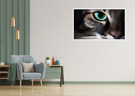 Katt öga - Bild 2