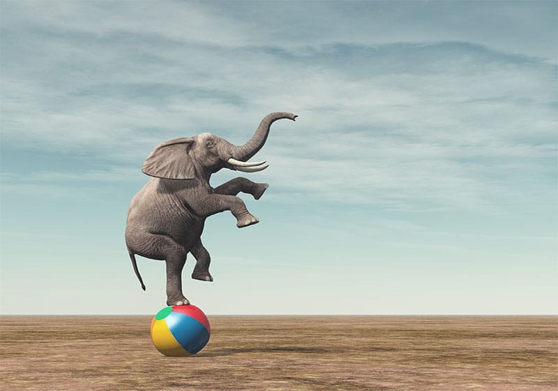 Elefant på Badboll - Bild 3