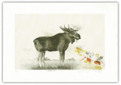 Lasse Åberg MICKEY MOOSE No: 57