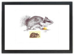 Lasse Åberg - Hommage à Mickey Mouse 1976 21X30 med ram
