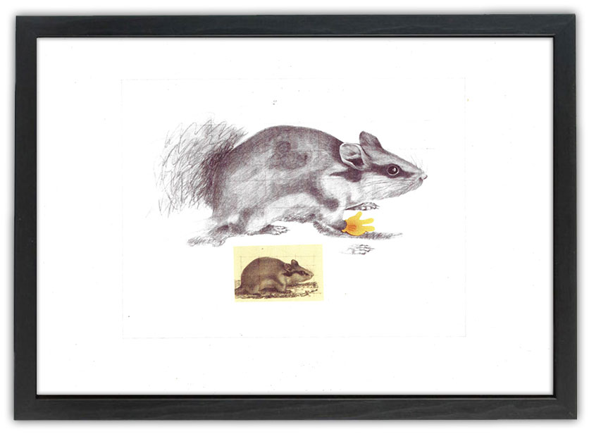 Lasse Åberg - Hommage à Mickey Mouse 1976 21X30 med ram
