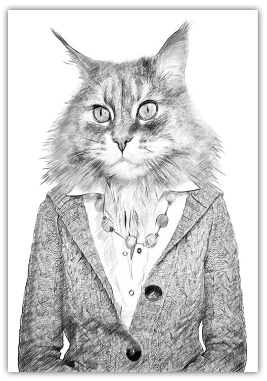 Poster Katt med kläder