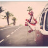 Retro rollerblades and WV camping van.