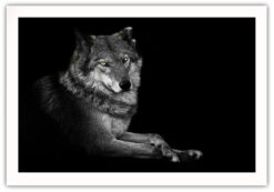 Alternative view of The Wolf poster