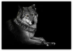 The Wolf poster