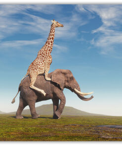 Elefanten och Giraffen