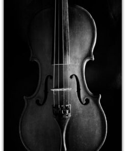 Violin poster