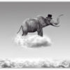 Elefant på molnet Poster