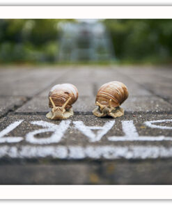 Alternative view of Lets Race Poster