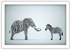 Alternative view of Elefant Zebra Poster