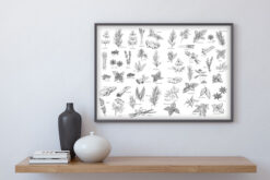 Kryddor och Örter poster - Bild 3