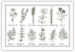 Herbs and Spices set Poster - Bild 2