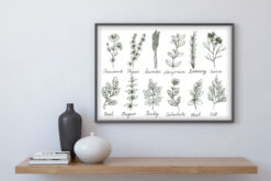 Herbs and Spices set Poster - Bild 3