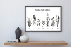 MEDICIAL PLANTS and HERBS Poster - Bild 3