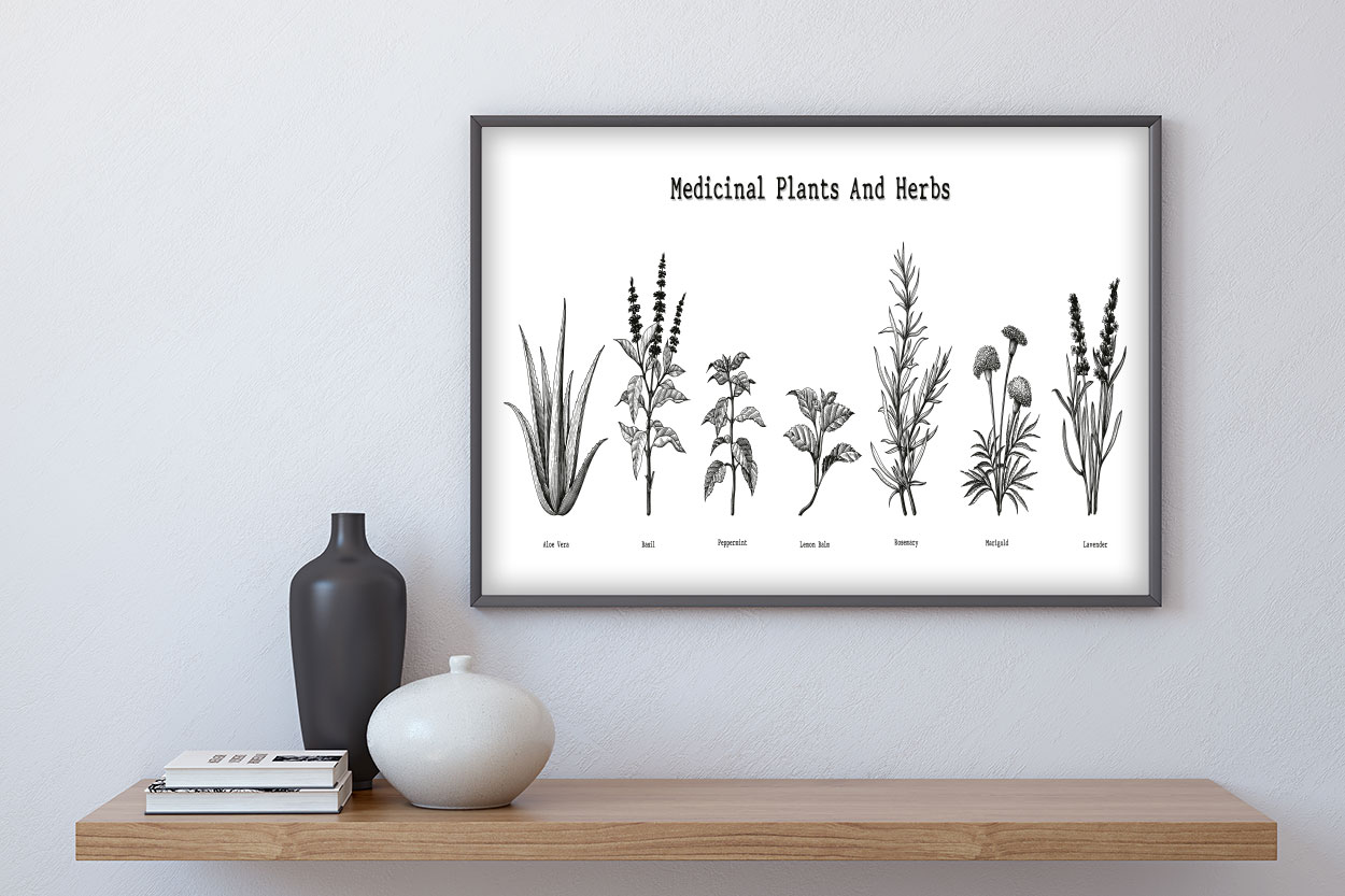 MEDICIAL PLANTS and HERBS Poster - Bild 3