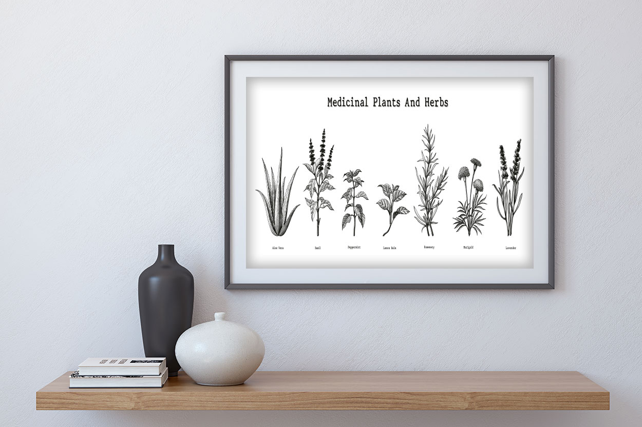 MEDICIAL PLANTS and HERBS Poster - Bild 4
