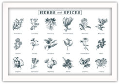 Alternative view of HERBS and SPICES Poster