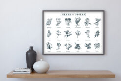 HERBS and SPICES Poster - Bild 3