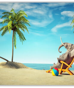 Nöjd elefant i solstol Poster