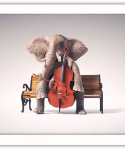 Alternative view of Elefant spelar basfiol Poster