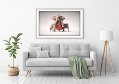 Elefant spelar basfiol Poster - Bild 4