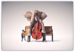 Elefant spelar basfiol Poster