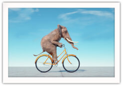 Alternative view of Elefant på cyckel poster