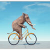Elefant på cyckel poster