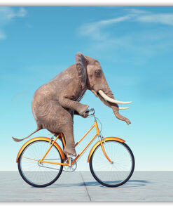 Elefant på cyckel poster