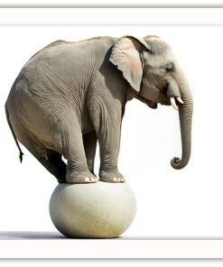 Alternative view of Elefant på boll, poster