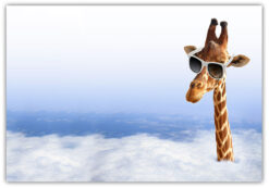 Giraff kikar över molnen poster