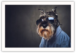 Alternative view of Cool dog poster