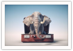 Alternative view of Elefant på väg på semester
