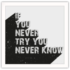 Alternative view of If You Never Try You Never Now Poster
