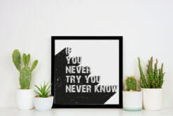 If You Never Try You Never Now Poster