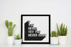 If You Never Try You Never Now Poster - Bild 3
